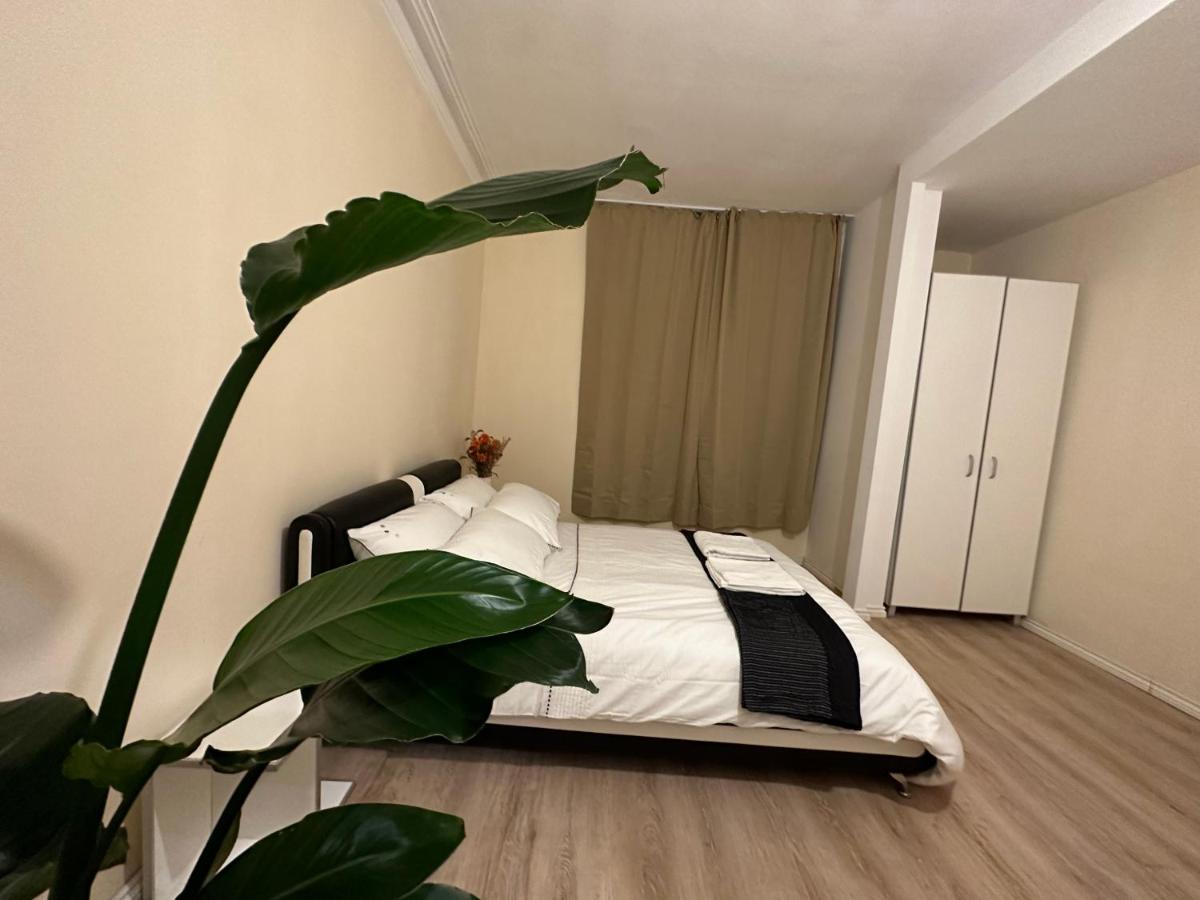 North London A Spacious 7 Bedroom House Accommodating Up To 18 People Complete With Own Gym And Table Tennis Kültér fotó